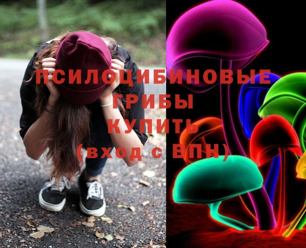 ешки Алзамай