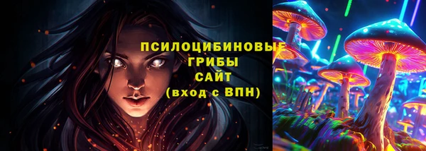 ешки Алзамай