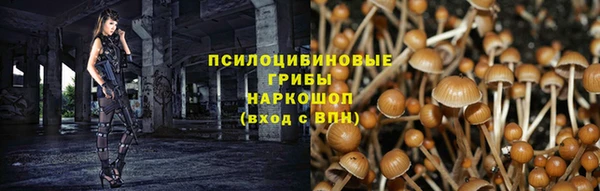 ешки Алзамай